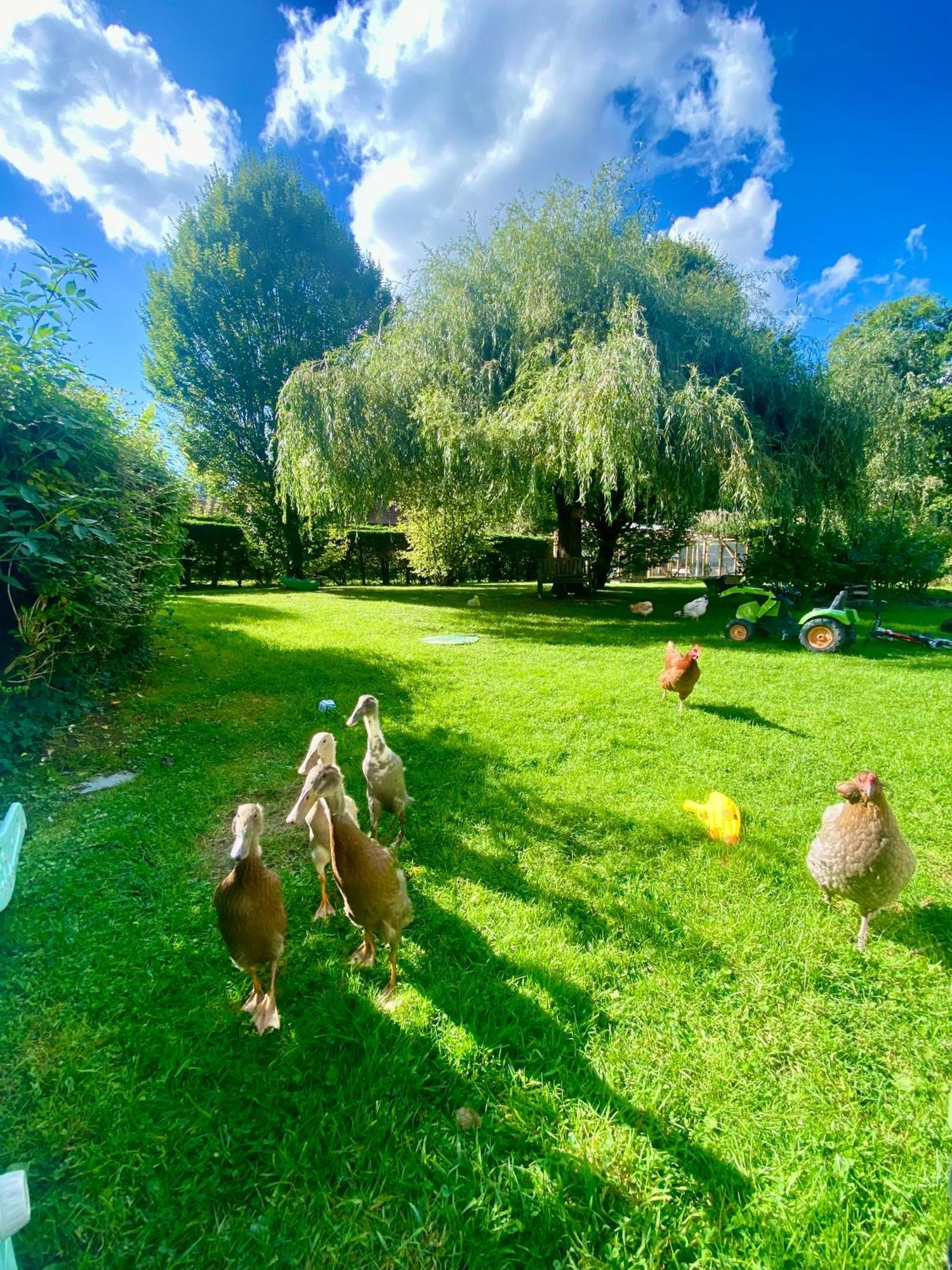 Le Clos De L'Ermitage Saint-Josse Esterno foto